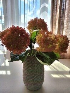 bouquet of ornamental onions no.144