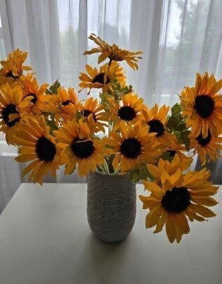 rudbeckia, 3 flowers on a stem, nr.30