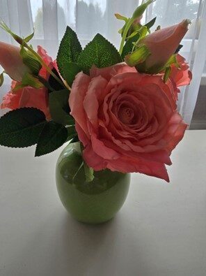 rose, pink, nr.33