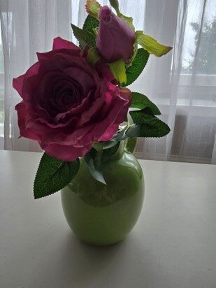 rose, soft violet, nr.34