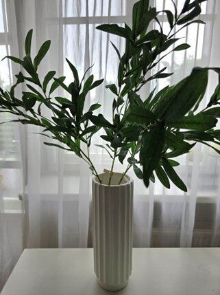 olive branches, nr.42
