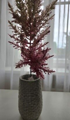 flower, nr.43