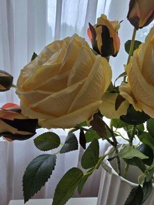 light yellow rose, nr.45