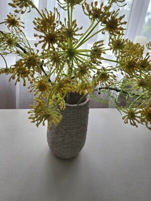 dill, nr.47