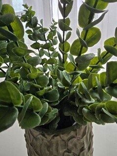 eucalyptus bouquet green no.58