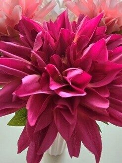 dahlia pink no.64