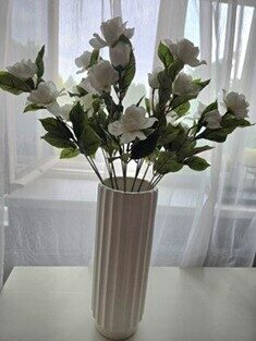 white roses n67