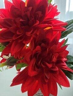 red dahlia bouquet no.76
