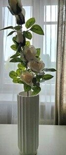 roses on a stem creamy no.80