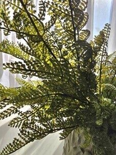 fern bouquet no.88