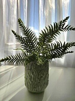 fern no.89