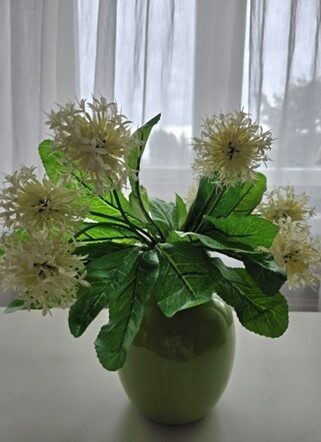 decorative onion white, nr.15