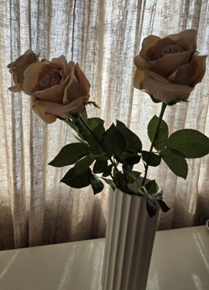 brown rose, nr.9