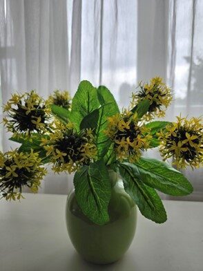 yellow decorative onion, nr.16