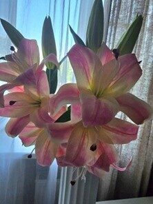 Artificial flowers No.178- lily branch