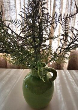 fern, nr.4