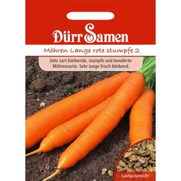 Carrots Lange rote stumpfe 2