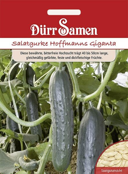 Gurķi salātu Hoffmanns Giganta 