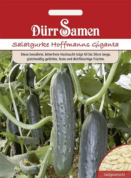 Cucumber salad Hoffmanns Giganta