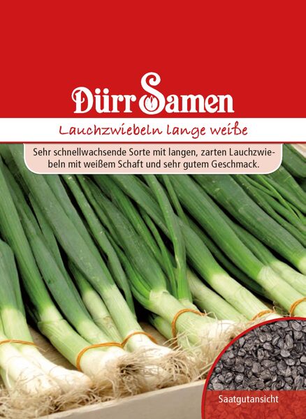 Spring onions Lange Weiße