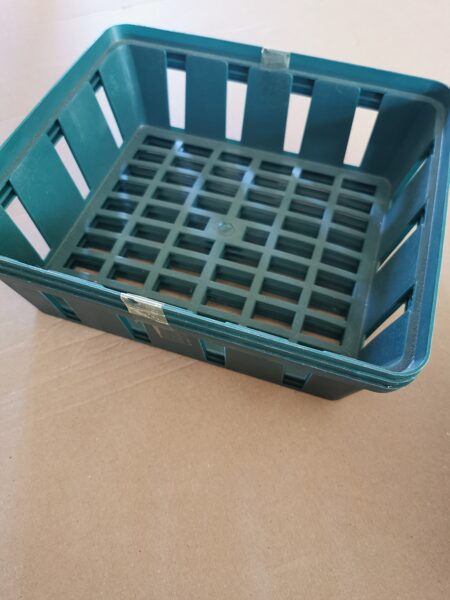 Containers for planting bulbous flowers (in a pack of 3)