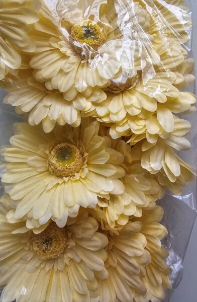 flowers yellow, package